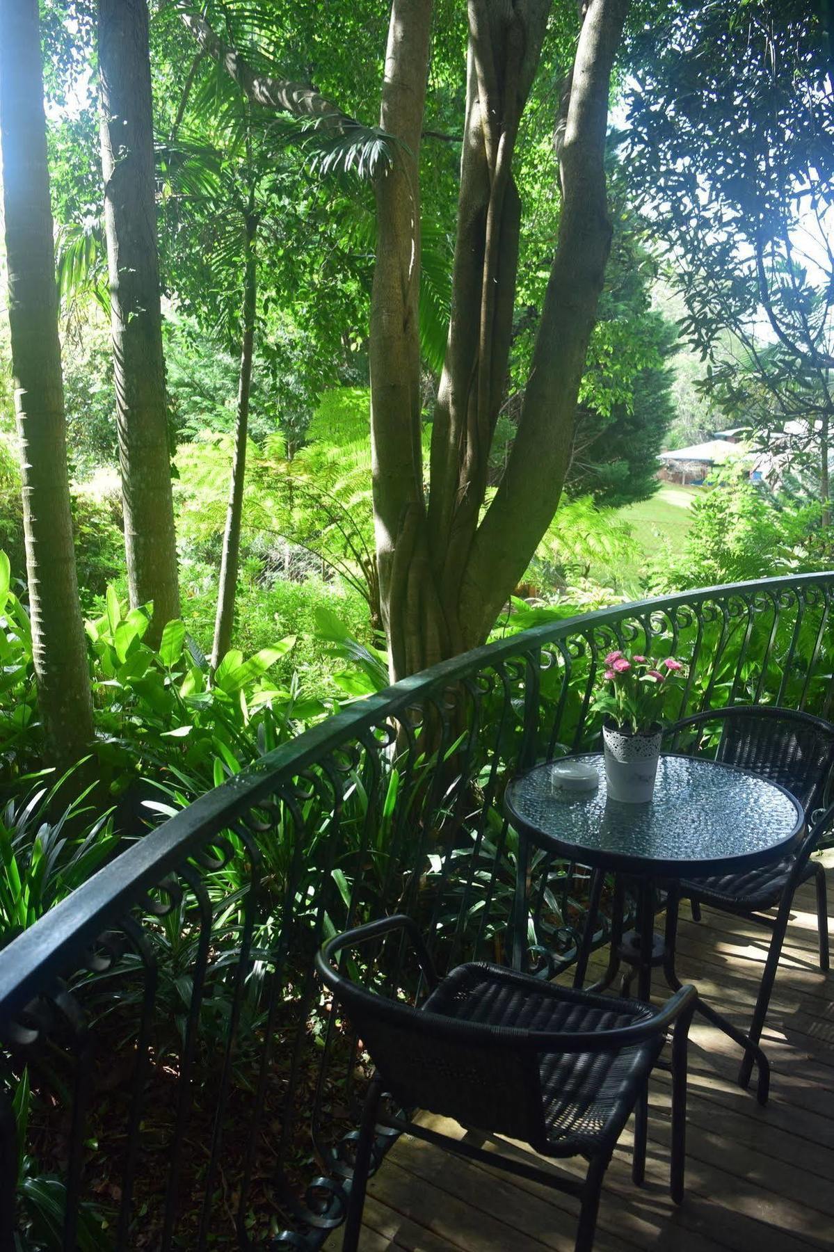 Chalet On Gallery Walk - King Bed, Spa, Fireplace, Wifi & Netflix, Linger A While Mount Tamborine Εξωτερικό φωτογραφία
