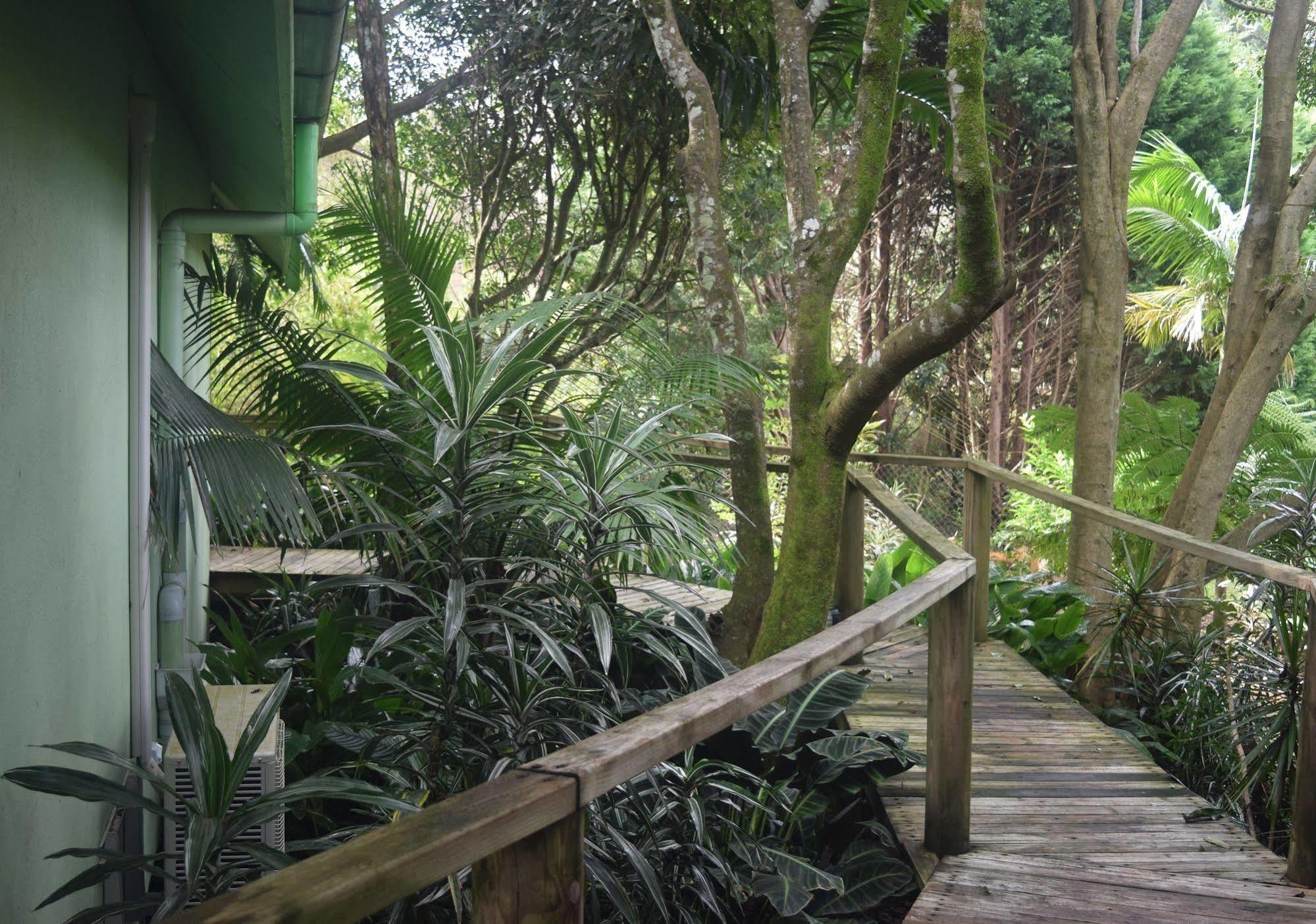 Chalet On Gallery Walk - King Bed, Spa, Fireplace, Wifi & Netflix, Linger A While Mount Tamborine Εξωτερικό φωτογραφία